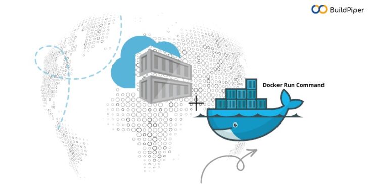 Docker run command